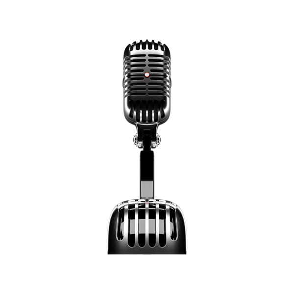 Recording Mic